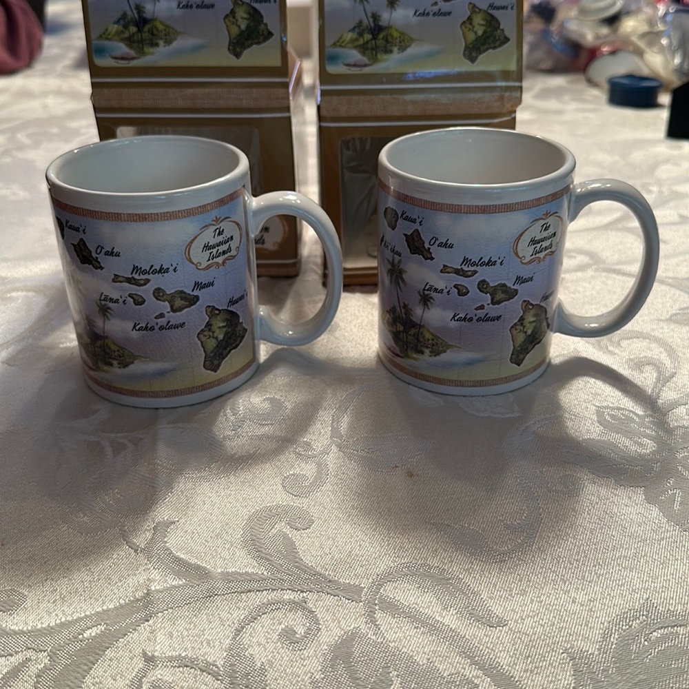 Set of two Hawaii state map